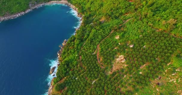 Luftaufnahme Landschaft Grünen Wald Auf Dem Hohen Berg Bei Schönem — Stockvideo