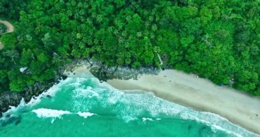 Özgürlük Sahili Patong Phuket 'te yeşil orman ve yeşil deniz manzarası.. 