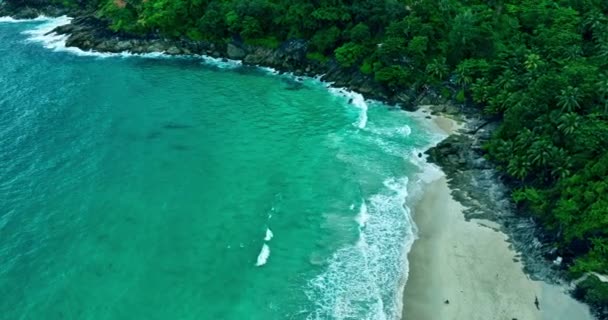 Özgürlük Sahili Patong Phuket Yeşil Orman Yeşil Deniz Manzarası — Stok video