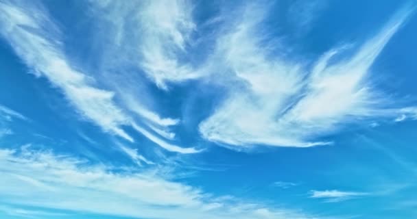 Modrá Obloha Bílými Mraky Půvabně Pohybovala Obloze Abstraktní Nebe Příroda — Stock video