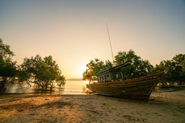 Klong Mudong 'da güzel bir gün batımı, deniz kenarındaki mangrovlarda güneşin yansımaları..