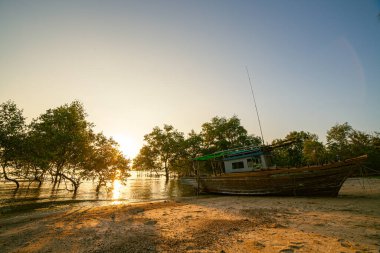 Klong Mudong 'da güzel bir gün batımı, deniz kenarındaki mangrovlarda güneşin yansımaları..