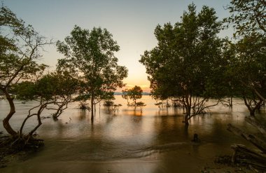 Klong Mudong 'da güzel bir gün batımı, deniz kenarındaki mangrovlarda güneşin yansımaları..