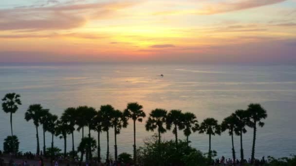 Şeker Palmiyelerinin Üzerindeki Güzel Gökyüzünün Havadan Görünüşü — Stok video
