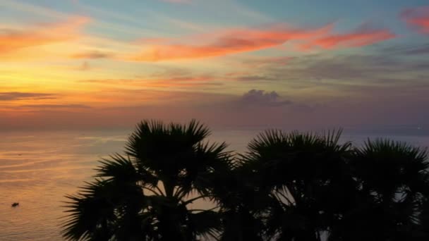 Vzdušný Pohled Krásnou Oblohu Nad Palmami Cukru — Stock video