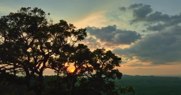 Havadan Bakıldığında Altın Sarısı Güneş Büyük Ağaçların Arasından Parlıyordu Güneş — Stok video