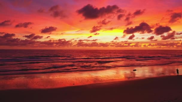 Жареный Дрон Пляже Красочном Отражении Потрясающего Заката Красивая Сцена Солнцем — стоковое видео
