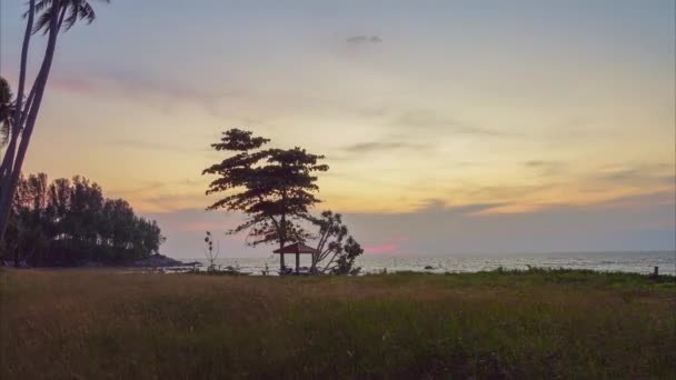 夕阳西下色彩斑斓的风景 棕榈树映衬着戏剧性的天空 — 图库视频影像