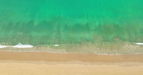 Белые Пенные Волны Ярко Зеленом Море Кружатся Белом Песчаном Пляже — стоковое видео