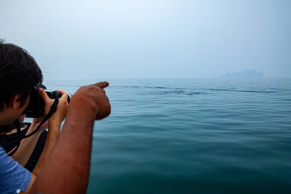 Gente Mirando Tiburones Ballena Phang Nga Bay Tailandia —  Fotos de Stock
