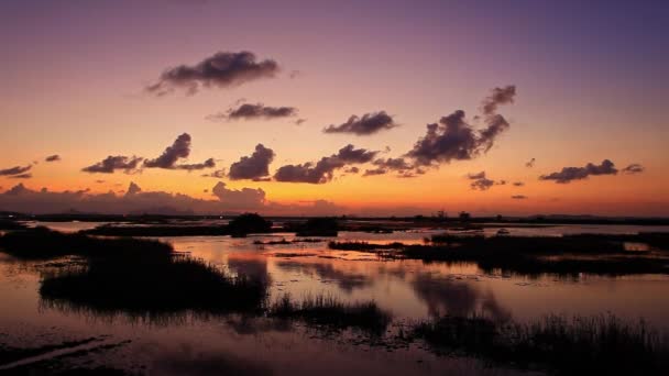 令人惊奇的五彩斑斓的云彩在沼泽地上空飘扬 — 图库视频影像