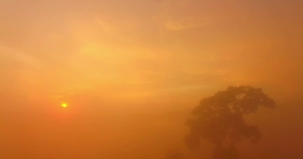 タイのファナンガーの地平線で空中ビュー美しい夕日 朝の山から注がれたカラフルな霧 霧の背景に美しい夕日のカラフルな空 — ストック動画