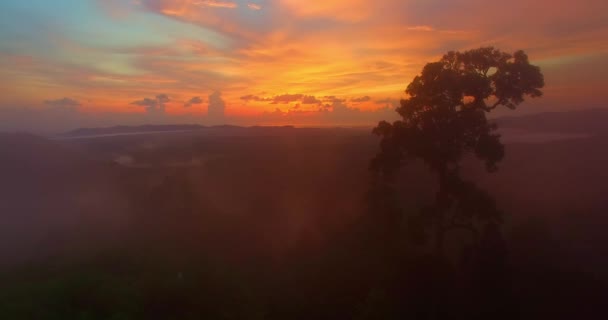 Αεροφωτογραφία Του Όμορφου Ηλιοβασιλέματος Στο Phang Nga Ταϊλάνδη Mist Χύνεται — Αρχείο Βίντεο