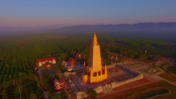 Воздушная Фотография Самая Высокая Золотая Пагода Таиланде Банг Тонг Восход — стоковое видео