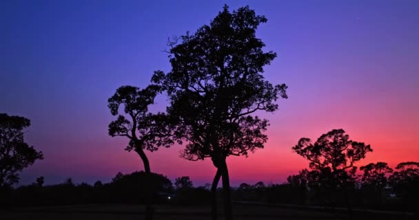 Widok Lotu Ptaka Niesamowite Różowe Niebo Zachód Słońca Nad Dużymi — Wideo stockowe