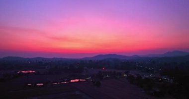 ..Hava manzarası gün batımında, pirinç tarlasındaki büyük ağaçların üzerinde güneş ışığı hasat mevsiminde pirinç tarlasındaki ağaçlara doğru tatlı pembe gökyüzü..