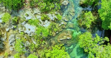 Berrak yeşil su dereleri yemyeşil ağaçların arasından akar, gökyüzü manzaralı. Klong Song Nam, Tayland