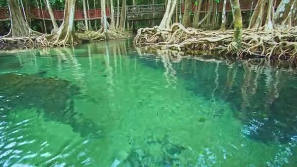 Klong Song Nam Oznacza Słodką Wodę Płynącą Gór Zmieszaną Wodą — Wideo stockowe