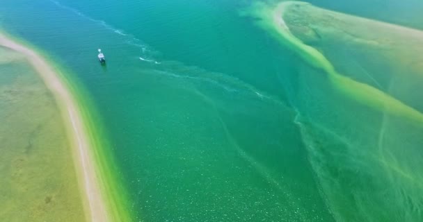 Vue Aérienne Paysage Blanc Long Sandbar Étendant Dans Mer Verte — Video