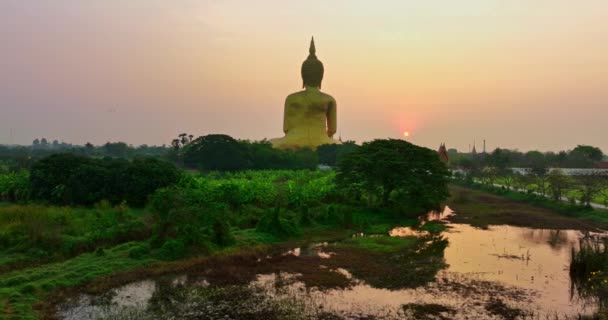 Antenn Färgglad Himmel Soluppgång Den Gula Solen Gyllene Stora Buddha — Stockvideo