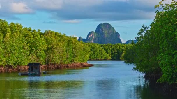 Time Lapse View White Clouds Float Canals Mangrove Forest Ταϊλάνδη — Αρχείο Βίντεο