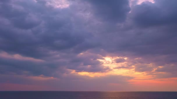 Воздушный Вид Сладкое Небо Закате Над Кокосовыми Деревьями Фон Природы — стоковое видео