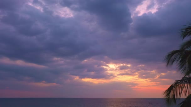 Εναέρια Άποψη Γλυκό Ουρανό Στο Ηλιοβασίλεμα Πάνω Από Τις Καρύδες — Αρχείο Βίντεο