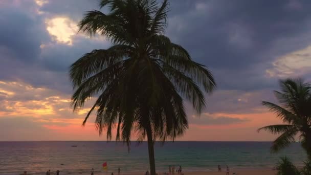 Widok Lotu Ptaka Słodkie Niebo Zachód Słońca Nad Drzewami Kokosowymi — Wideo stockowe