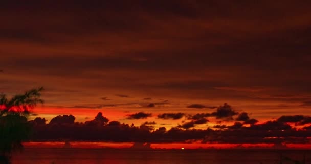 Вид Повітря Дивовижне Червоне Світло Горизонті Сутінках Каналі Соснових Дерев — стокове відео