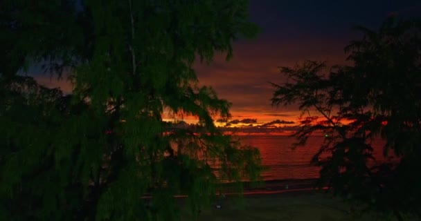 Vista Aérea Céu Vermelho Exótico Crepúsculo Acima Dos Pinheiros — Vídeo de Stock