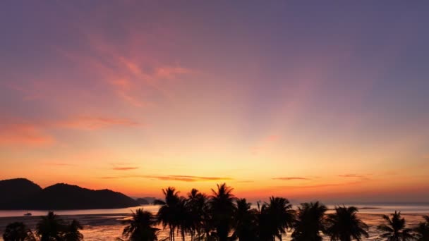Widok Lotu Ptaka Oszałamiające Niebo Wschodzie Słońca Powyżej Drzew Kokosowych — Wideo stockowe