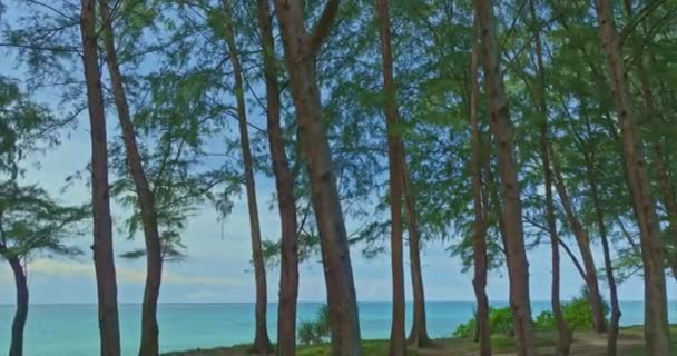Вид Воздуха Захватывающий Пейзаж Над Секретным Райским Пляжем Морские Волны — стоковое видео