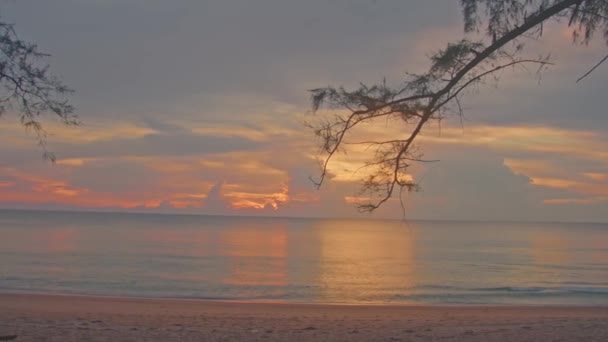 Soleil Couchait Sur Mer Dans Les Pins Ses Rayons Capturent — Video