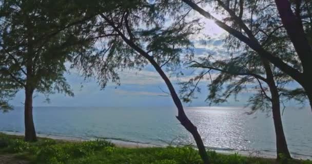 空中景观 海德西角普吉附近的一片松林 一浪接一浪地冲向白色长滩上的海岸 蔚蓝的大海和海滩之上美丽的自然蓝天 — 图库视频影像
