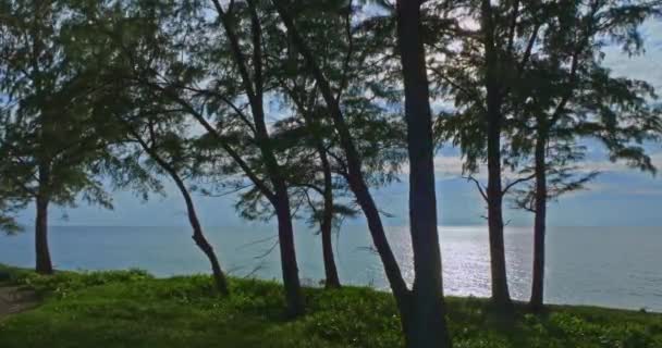 Büyük Bir Ağacın Gölgesinin Altındaki Hava Manzarası Haad Sai Kaew — Stok video