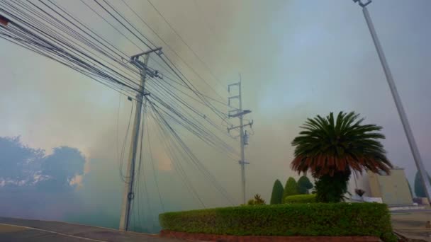 路边电线杆附近的草丛燃烧 — 图库视频影像