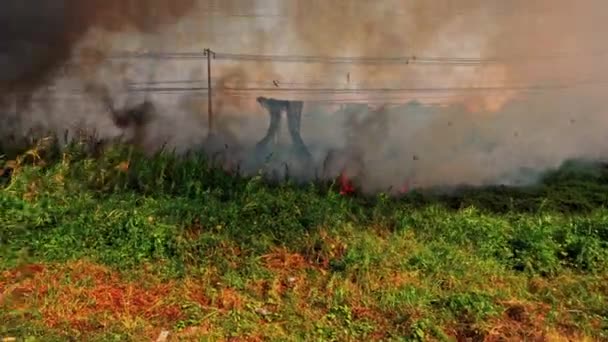 路边电线杆附近的草丛燃烧 — 图库视频影像