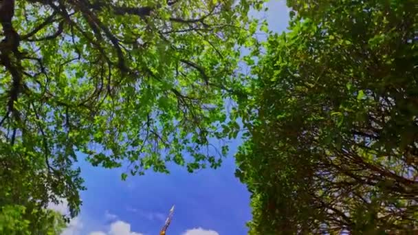 Λευκά Σύννεφα Στον Γαλάζιο Ουρανό Πάνω Από Ναό Chalong — Αρχείο Βίντεο