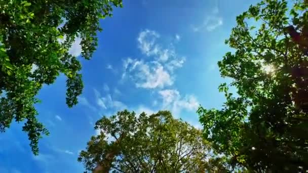 Białe Chmury Błękitnym Niebie Nad Świątynią Chalong — Wideo stockowe