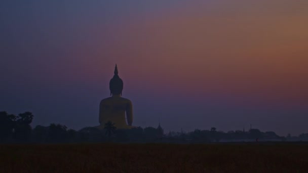 부처에 일출에 화려한 Thailand Bright 배경에서 쌀밭에서 태국의 인기있는 랜드마크 — 비디오
