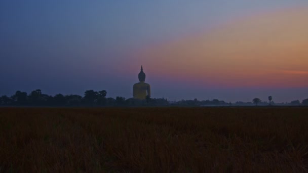 Πολύχρωμο Ροζ Ουρανό Στην Ανατολή Του Ηλίου Χρυσό Μεγάλο Buddha — Αρχείο Βίντεο