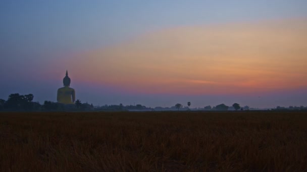 Färgglada Rosa Himmel Soluppgången Gyllene Stora Buddha Populär Landmärke Thailand — Stockvideo