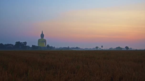 五彩缤纷的粉色天空在日出时在金发碧眼的大花蕾中一个受欢迎的地标 明亮的粉色天空背景 泰国受欢迎的地标稻田里的金黄色大花蕾 — 图库视频影像