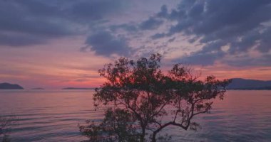 Mangrov ağaçlarının üzerindeki günbatımında hava manzaralı tatlı renkli gökyüzü. Muhteşem günbatımı ya da gün doğumu manzarası. Doğanın inanılmaz ışığı arka plan. renk deseni harika gökyüzü dokusu.