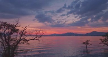 Mangrov ağaçlarının üzerindeki günbatımında hava manzaralı tatlı renkli gökyüzü. Muhteşem günbatımı ya da gün doğumu manzarası. Doğanın inanılmaz ışığı arka plan. renk deseni harika gökyüzü dokusu.