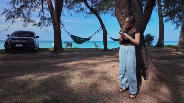 흔적에 배낭을 소나무의 전화를 사용합니다 해변을 소나무 나무의 나무의 슬로우 — 비디오