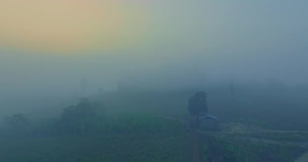 Widok Powietrza Nad Morzem Mgły Wschodzie Słońca Górach — Wideo stockowe