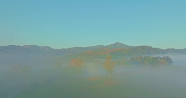 谷の霧の風景の海を眺める — ストック動画