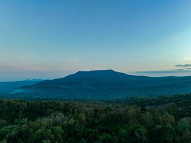 Renkli yapraklar Adorn Taşları ve Doğa 'nın Toprakları