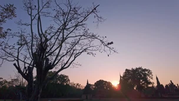 Пейзажи Развалин Исторического Парка Сукхотай Таиланд — стоковое видео